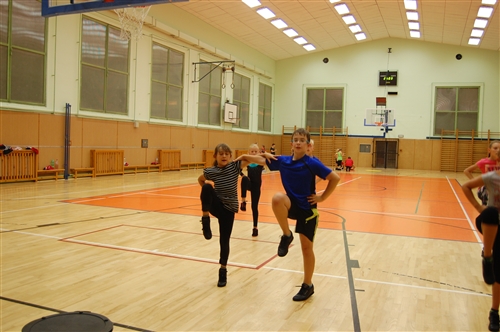 Obrázek v galerii